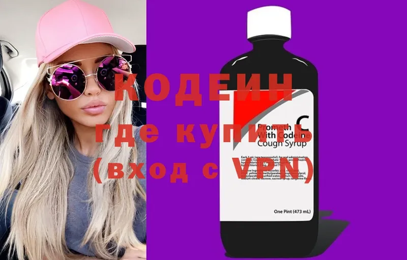 цена наркотик  Хилок  Кодеин Purple Drank 